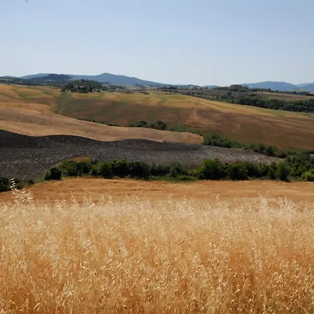 Mannaioni Volterra